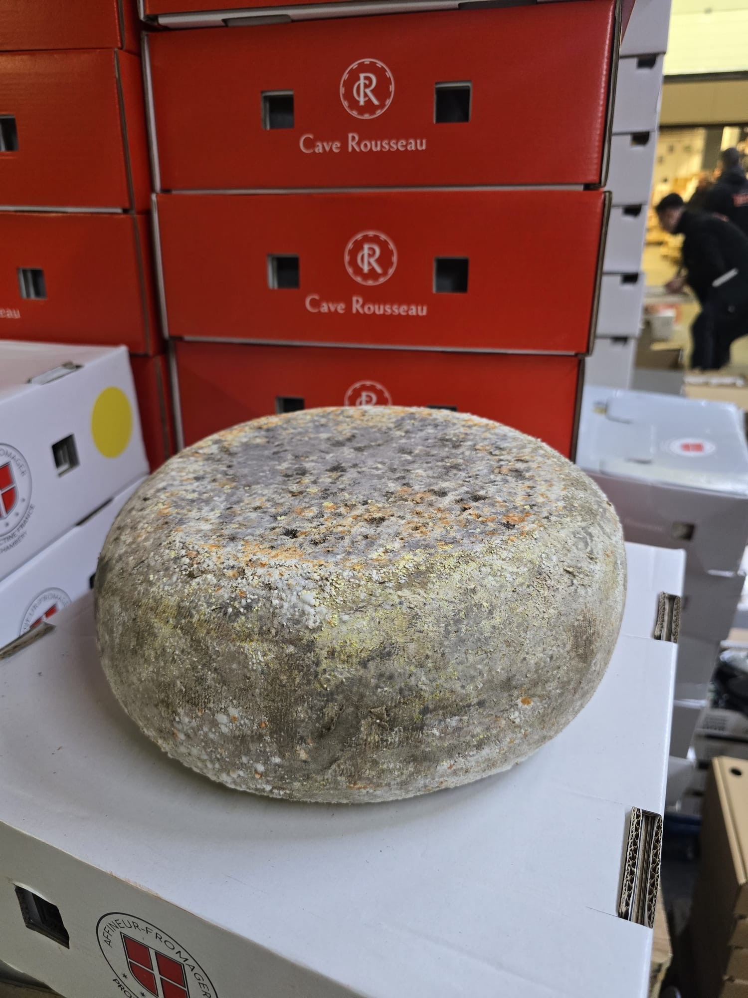 TOMME DE CHEVRE NOIX FIGUES "ROUSSEAU" 4,5KG